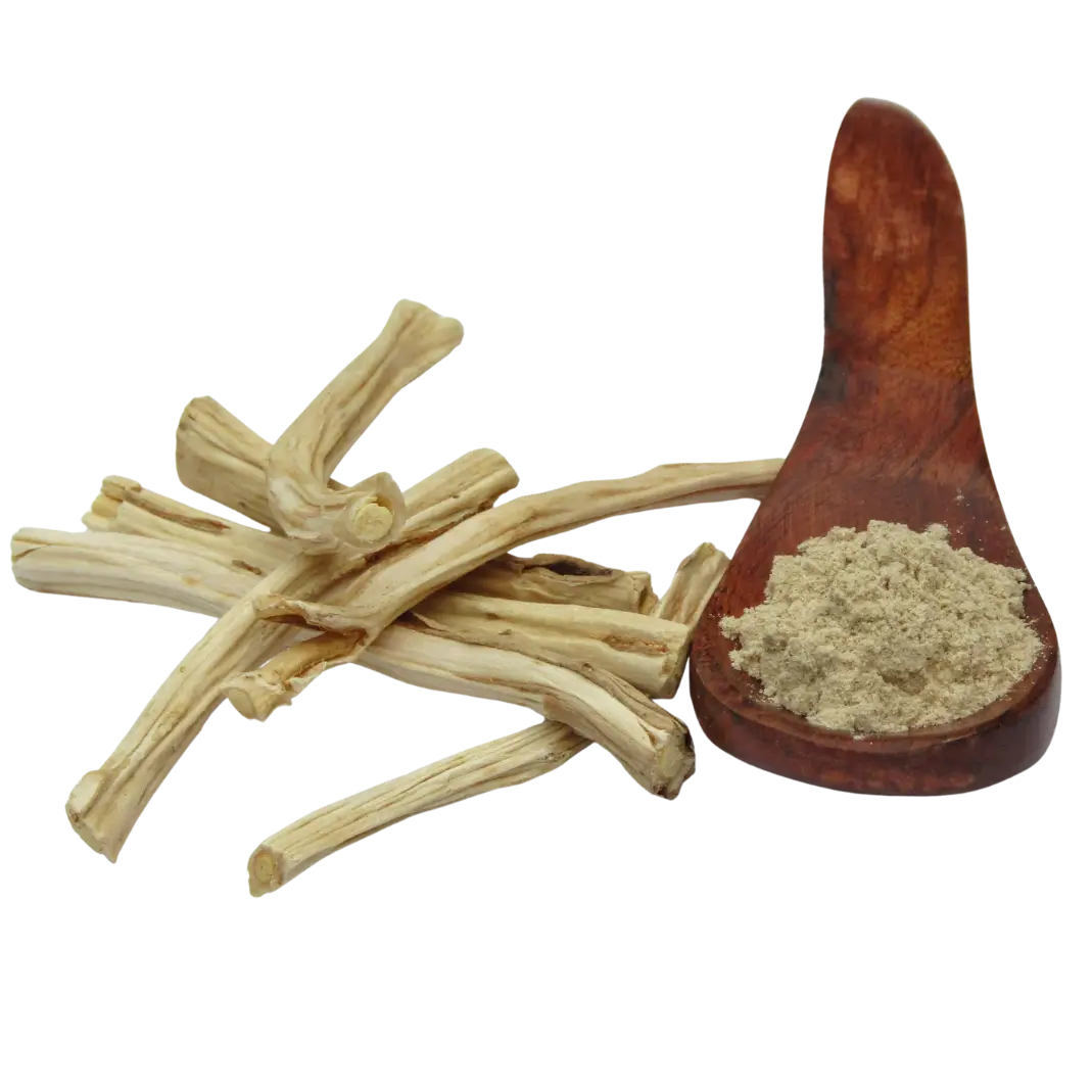 Shatavari extract ingredient image for hormonal balance and women’s cycle support in Verdawell gummies