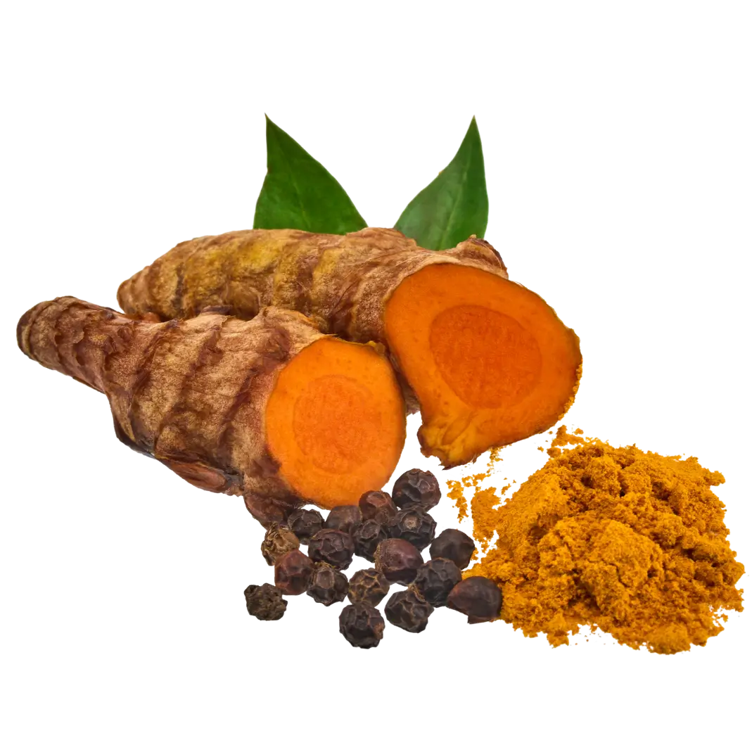 Ginger extract ingredient image for digestive comfort and bloating support